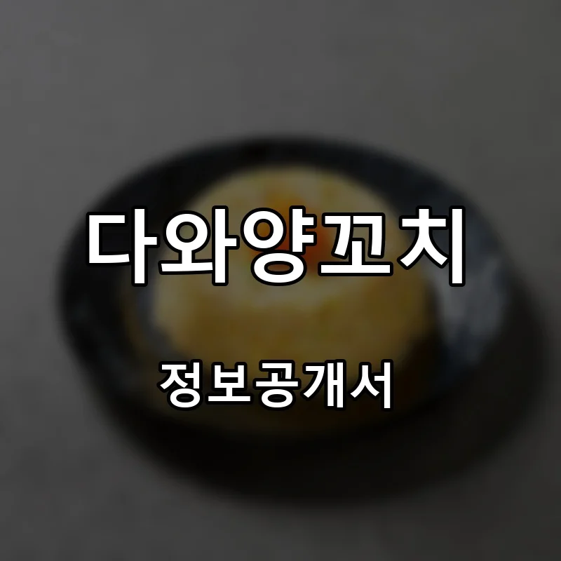 다와양꼬치 프랜차이즈 창업 비용 정보공개서 요약