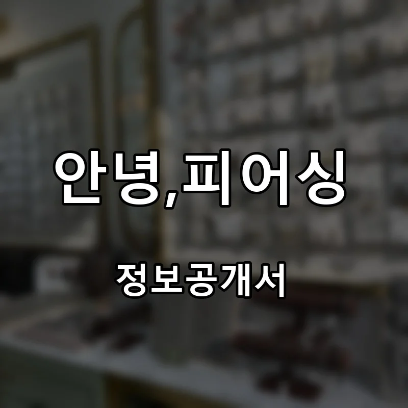 안녕,피어싱 프랜차이즈 창업 비용 정보공개서 요약