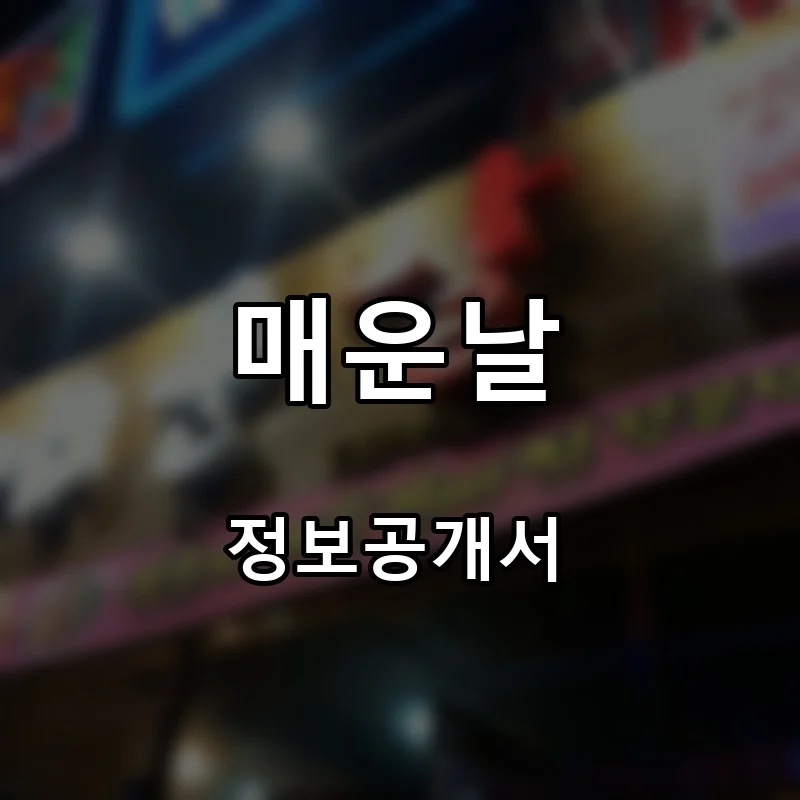 매운날 프랜차이즈 창업 비용 정보공개서 요약