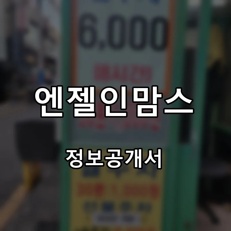 엔젤인맘스 프랜차이즈 창업 비용 정보공개서 요약