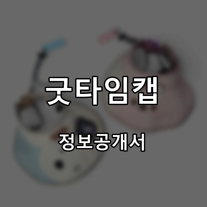 굿타임캡 프랜차이즈 창업 비용 정보공개서 요약