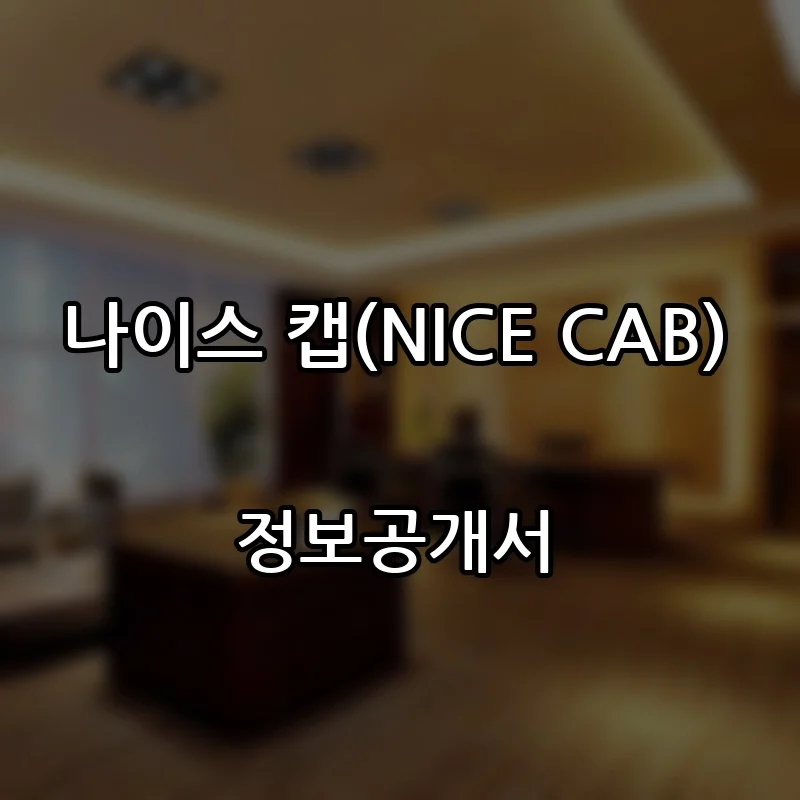 나이스 캡(NICE CAB) 프랜차이즈 창업 비용 정보공개서 요약