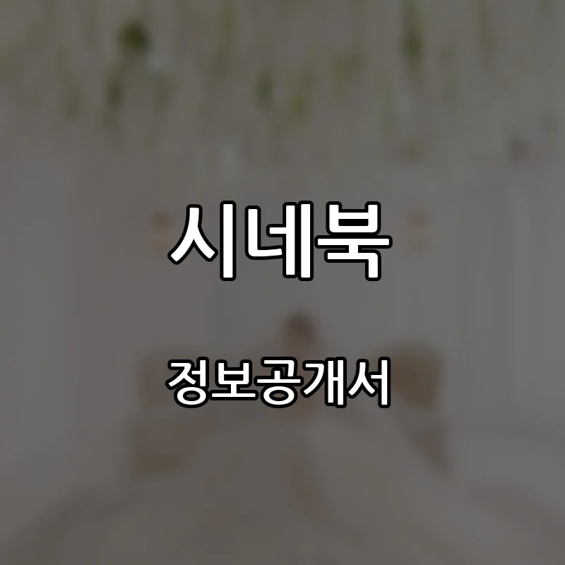 시네북 프랜차이즈 창업 비용 정보공개서 요약