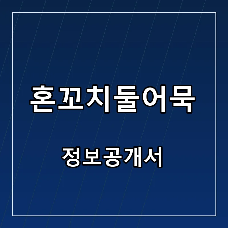 혼꼬치둘어묵 프랜차이즈 창업 비용 정보공개서 요약