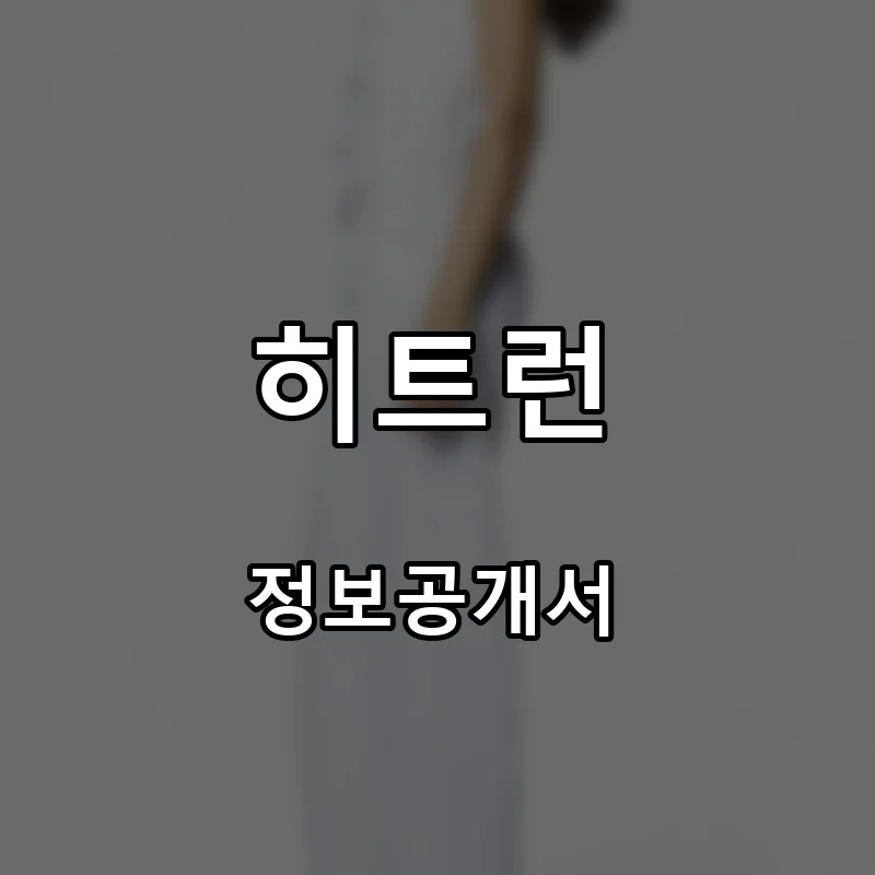 히트런 프랜차이즈 창업 비용 정보공개서 요약