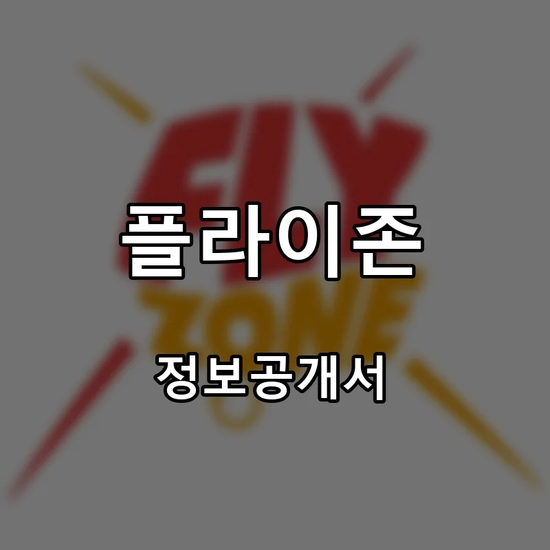 플라이존 프랜차이즈 창업 비용 정보공개서 요약