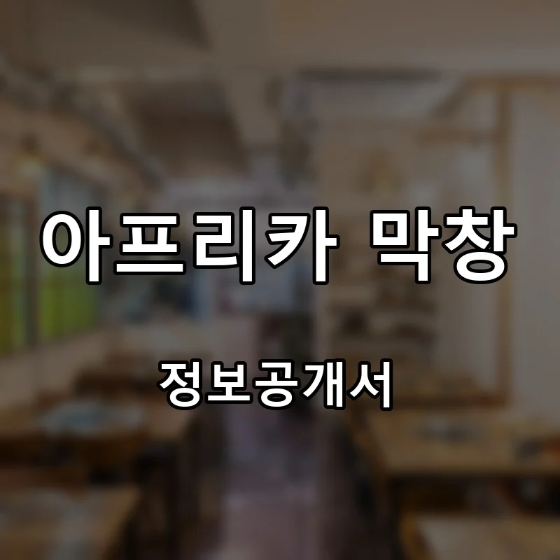 아프리카 막창 프랜차이즈 창업 비용 정보공개서 요약