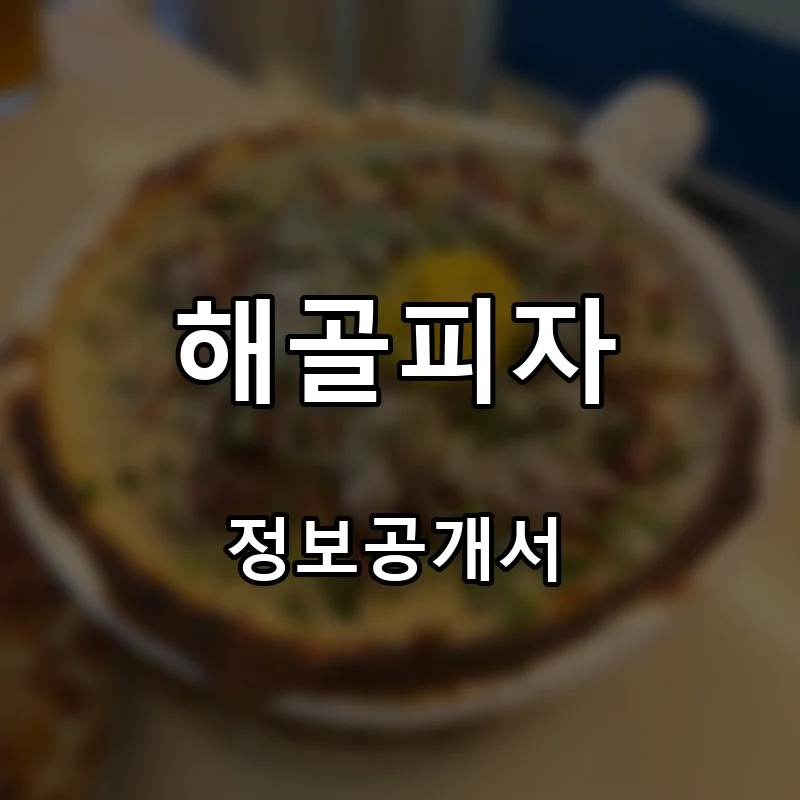 해골피자(HAEGOAL PIZZA) 프랜차이즈 창업 비용 정보공개서 요약