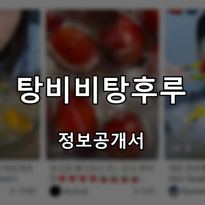 탕비비탕후루 프랜차이즈 창업 비용 정보공개서 요약