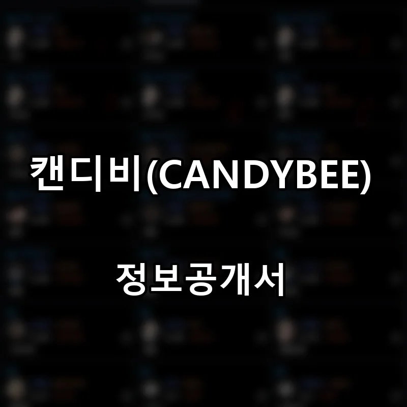 캔디비(CANDYBEE) 프랜차이즈 창업 비용 정보공개서 요약