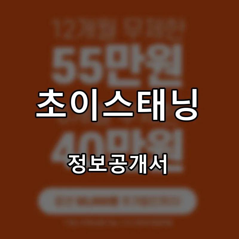 초이스태닝 (CHOI’S TANNING) 창업 프랜차이즈 정보공개서 요약 2026.07.19