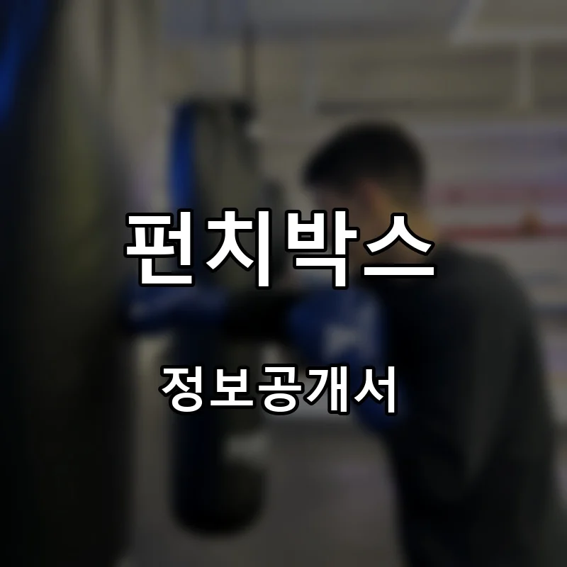 펀치박스 프랜차이즈 창업 비용 정보공개서 요약