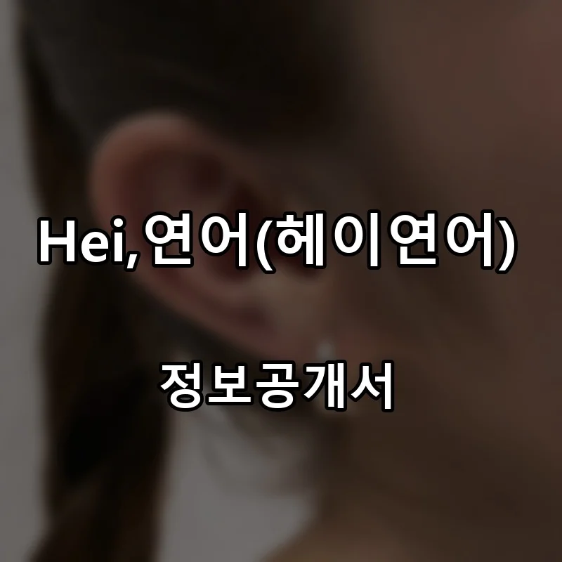 Hei,연어(헤이연어) 프랜차이즈 창업 비용 정보공개서 요약
