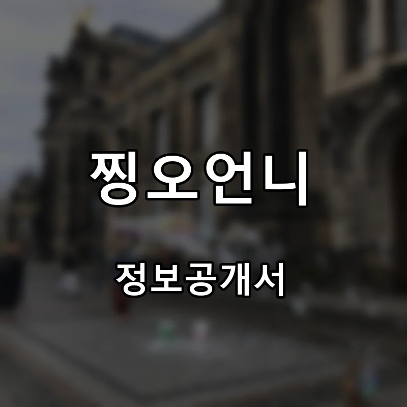 찡오언니 프랜차이즈 창업 비용 정보공개서 요약