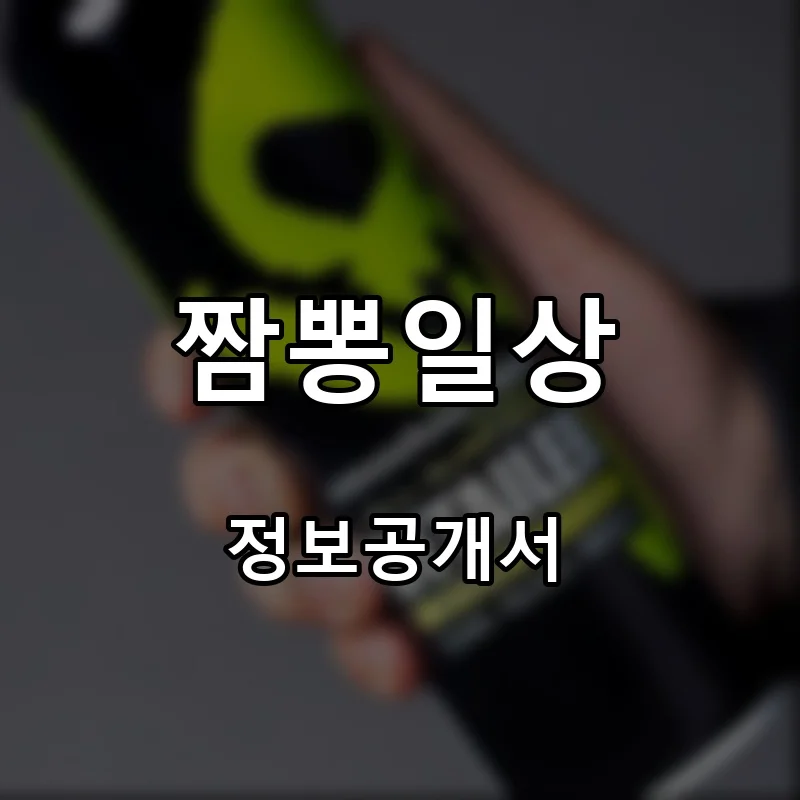 짬뽕일상 프랜차이즈 창업 비용 정보공개서 요약
