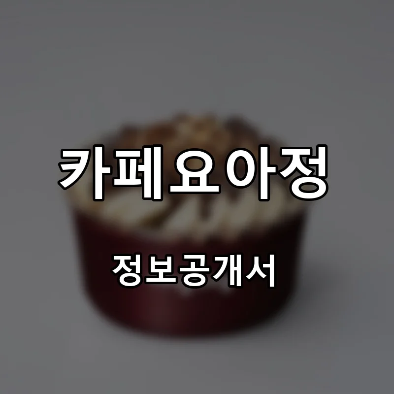 카페요아정 프랜차이즈 창업 비용 정보공개서 요약