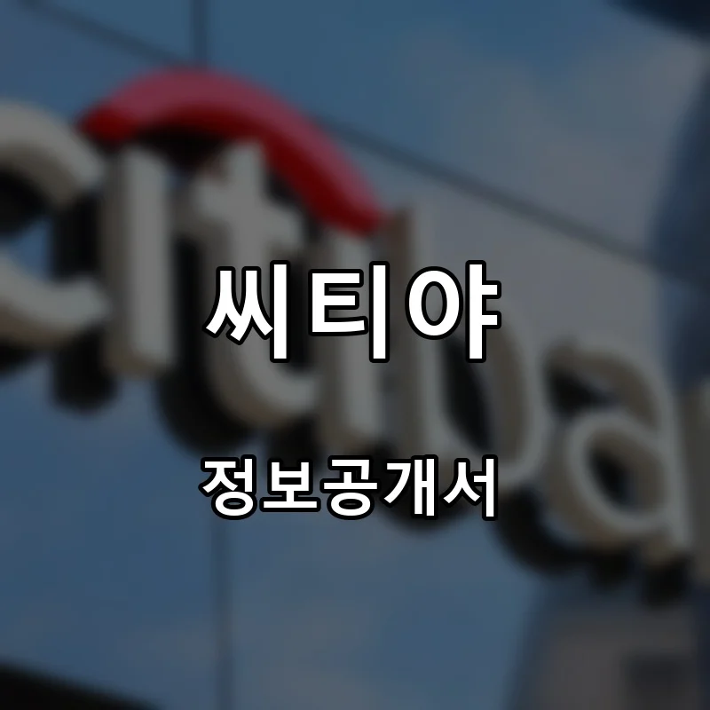 씨티야 프랜차이즈 창업 비용 정보공개서 요약