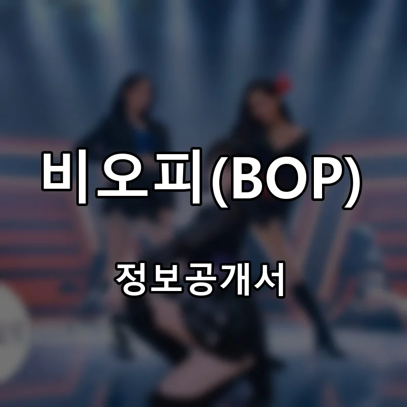 비오피(BOP) 프랜차이즈 창업 비용 정보공개서 요약