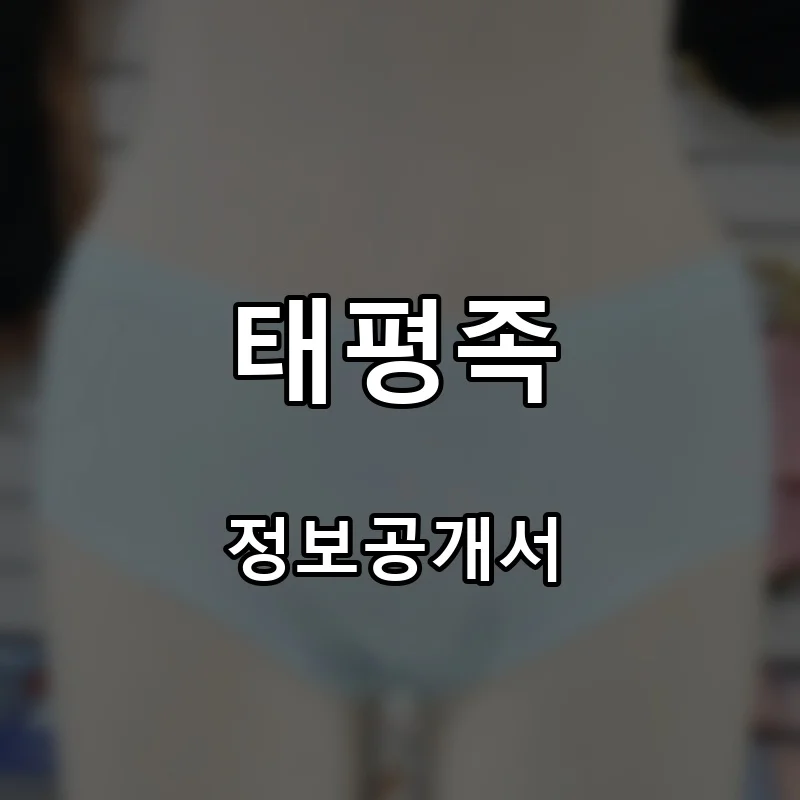 태평족 프랜차이즈 창업 비용 정보공개서 요약