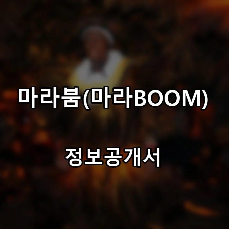 마라붐(마라BOOM) 프랜차이즈 창업 비용 정보공개서 요약