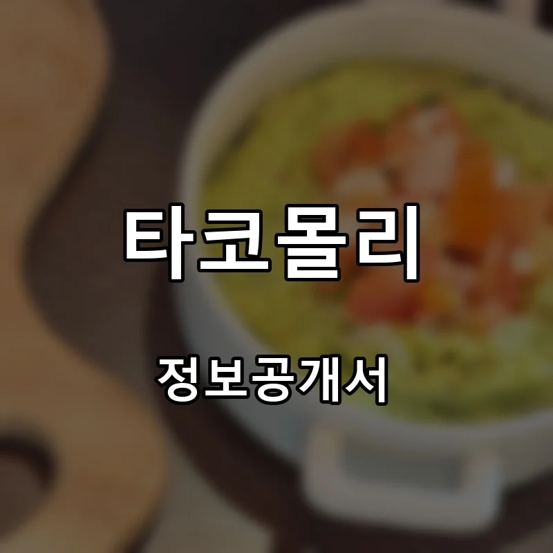 타코몰리 프랜차이즈 창업 비용 정보공개서 요약
