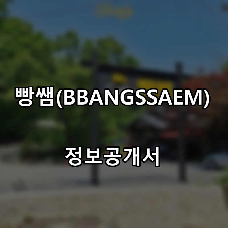빵쌤(BBANGSSAEM) 프랜차이즈 창업 비용 정보공개서 요약