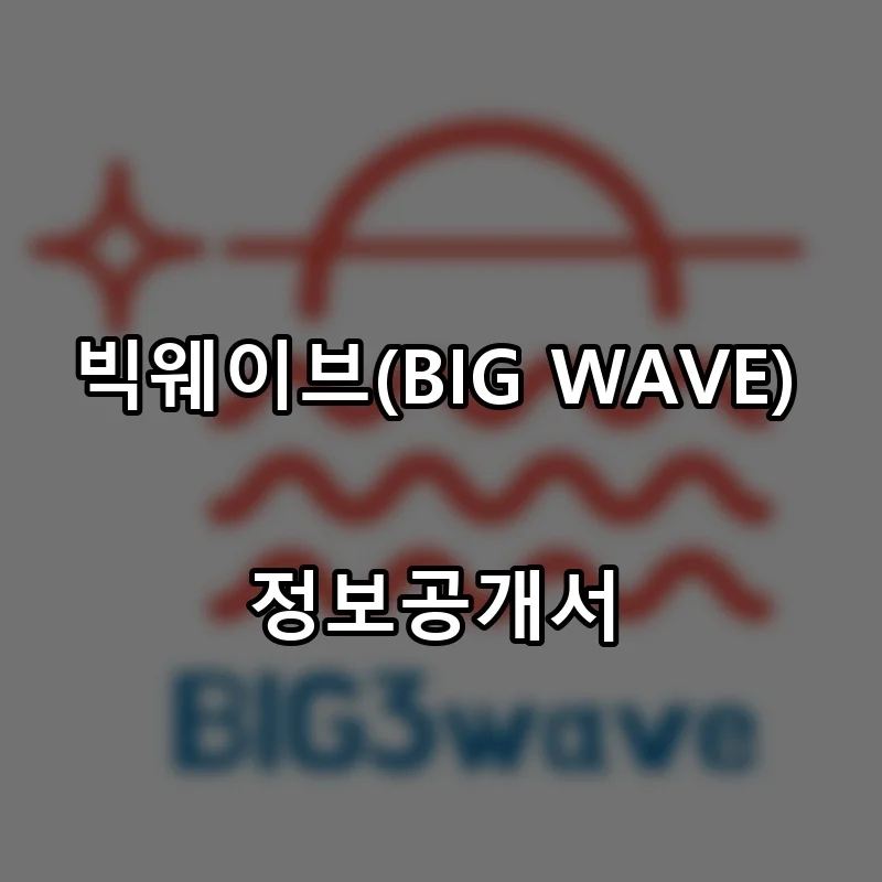 빅웨이브(BIG WAVE) 프랜차이즈 창업 비용 정보공개서 요약