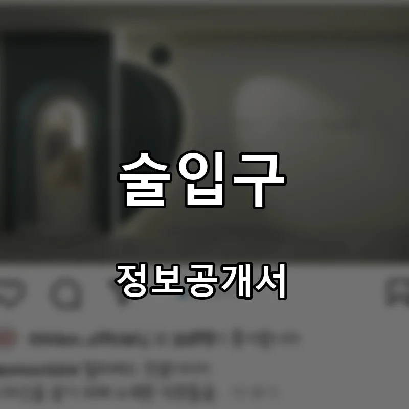 술입구 프랜차이즈 창업 비용 정보공개서 요약