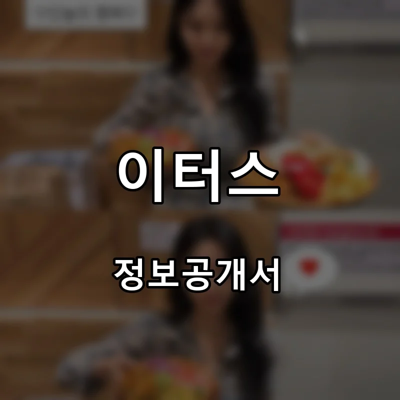 이터스 프랜차이즈 창업 비용 정보공개서 요약