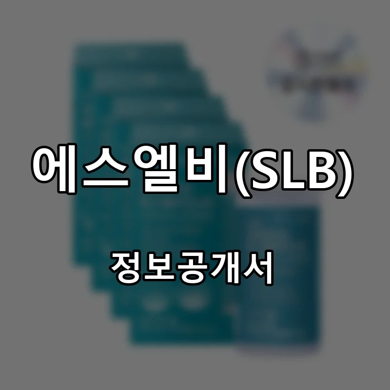 에스엘비(SLB) 프랜차이즈 창업 비용 정보공개서 요약