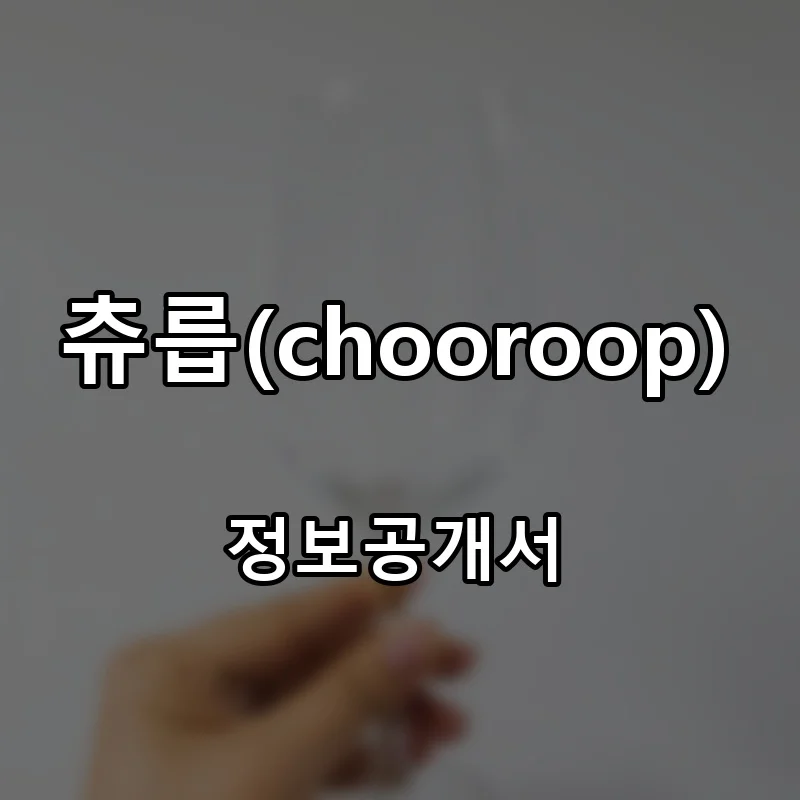 츄릅(chooroop) 프랜차이즈 창업 비용 정보공개서 요약