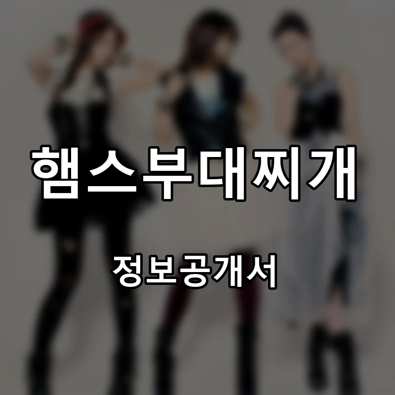 햄스부대찌개 프랜차이즈 창업 비용 정보공개서 요약