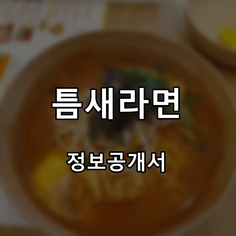 틈새라면 프랜차이즈 창업 비용 정보공개서 요약