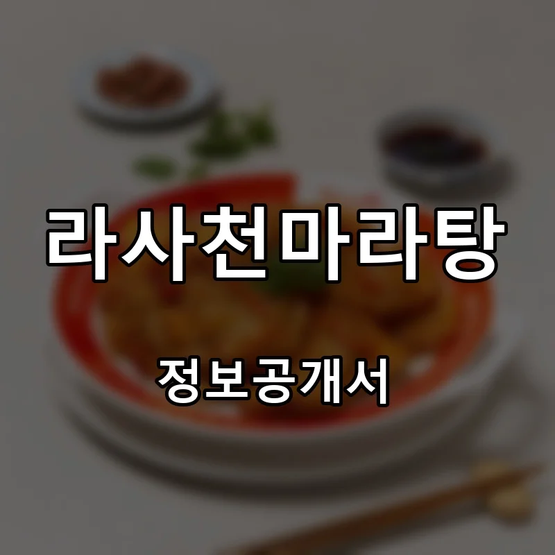 라사천마라탕 프랜차이즈 창업 비용 정보공개서 요약