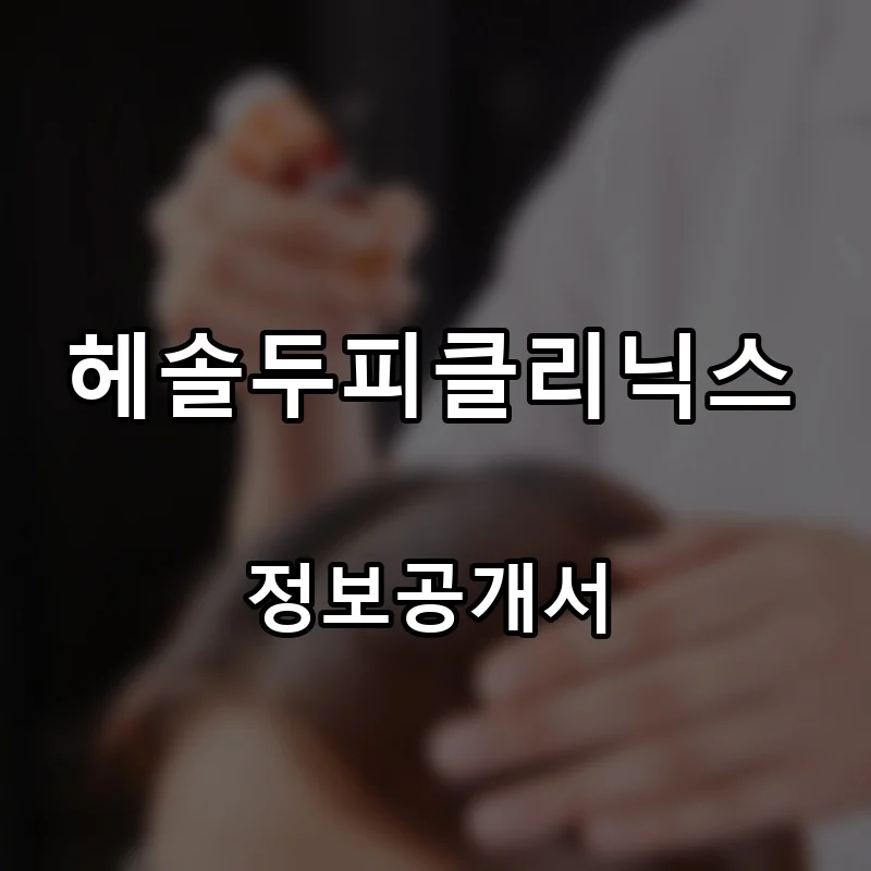 헤솔두피클리닉스 프랜차이즈 창업 비용 정보공개서 요약