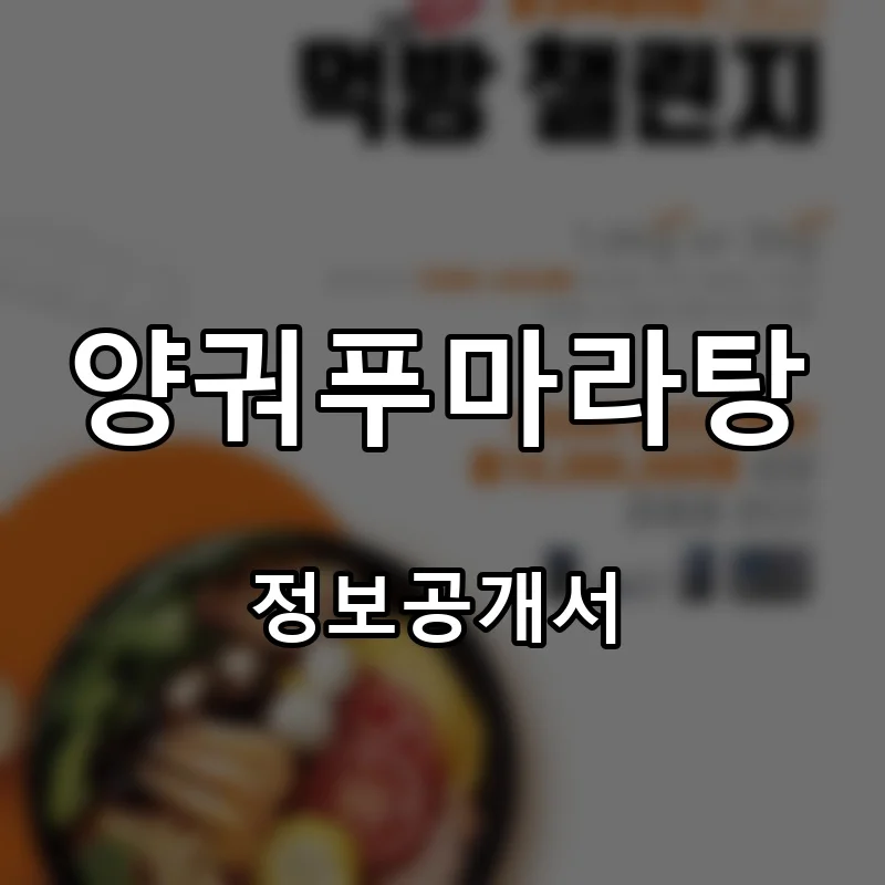 양궈푸마라탕 프랜차이즈 창업 비용 정보공개서 요약