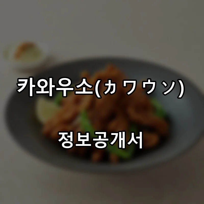 카와우소(カワウソ) 프랜차이즈 창업 비용 정보공개서 요약