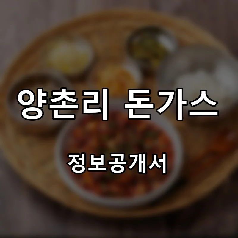 양촌리 돈가스 프랜차이즈 창업 비용 정보공개서 요약