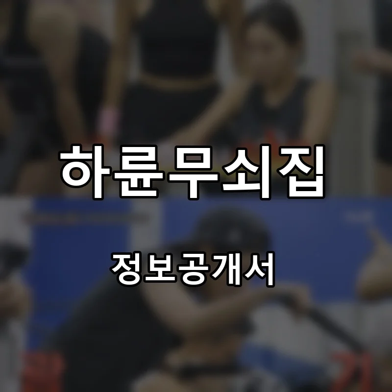 하륜무쇠집 프랜차이즈 창업 비용 정보공개서 요약