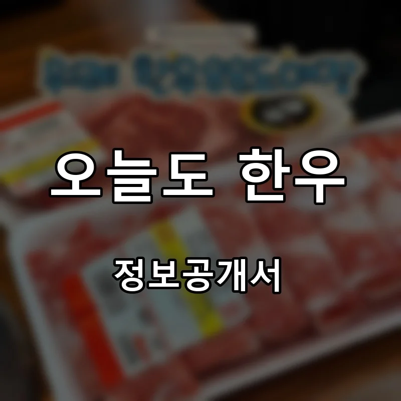 오늘도 한우 프랜차이즈 창업 비용 정보공개서 요약