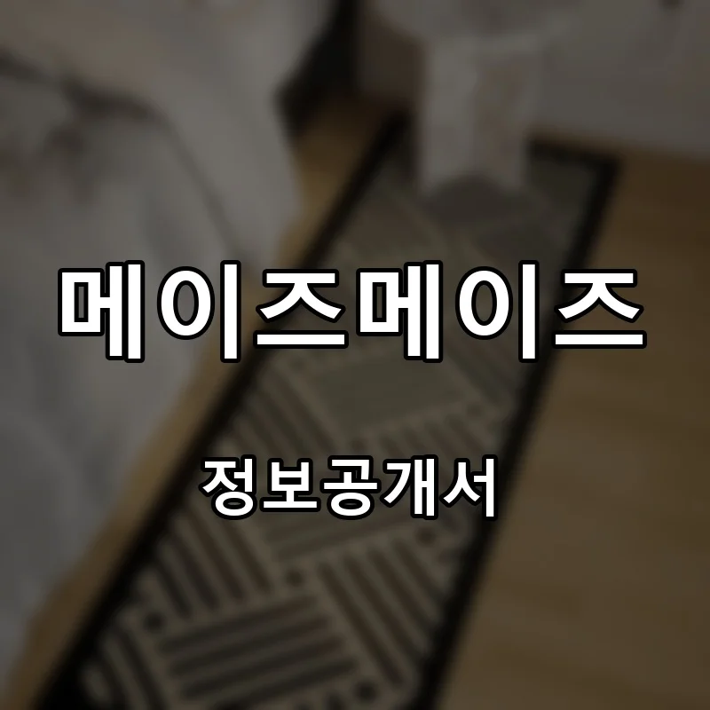 메이즈메이즈 프랜차이즈 창업 비용 정보공개서 요약
