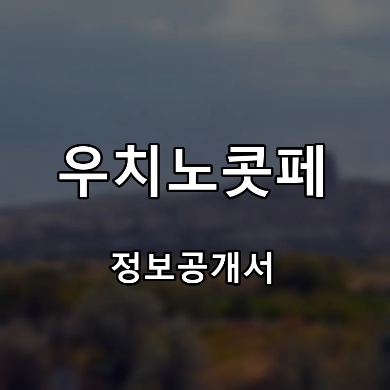 우치노콧페 프랜차이즈 창업 비용 정보공개서 요약