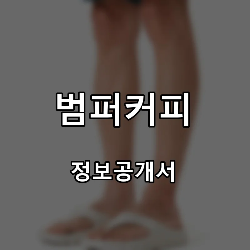 범퍼커피(BUMPER COFFEE) 프랜차이즈 창업 비용 정보공개서 요약