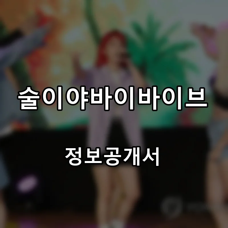 술이야바이바이브(술이야 by vibe) 프랜차이즈 창업 비용 정보공개서 요약