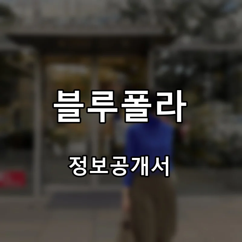 블루폴라 프랜차이즈 창업 비용 정보공개서 요약