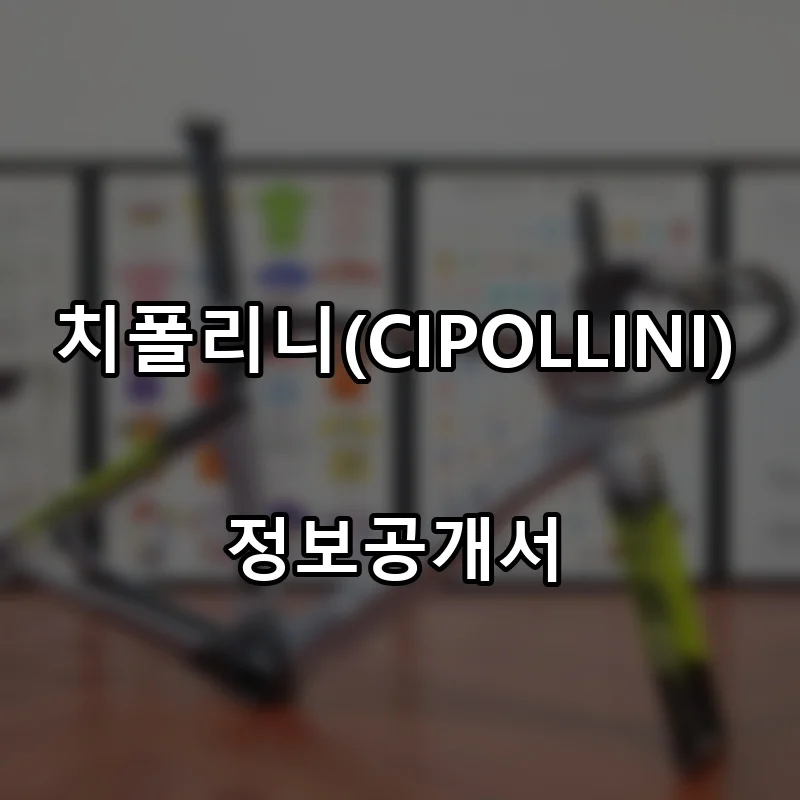 치폴리니(CIPOLLINI) 프랜차이즈 창업 비용 정보공개서 요약