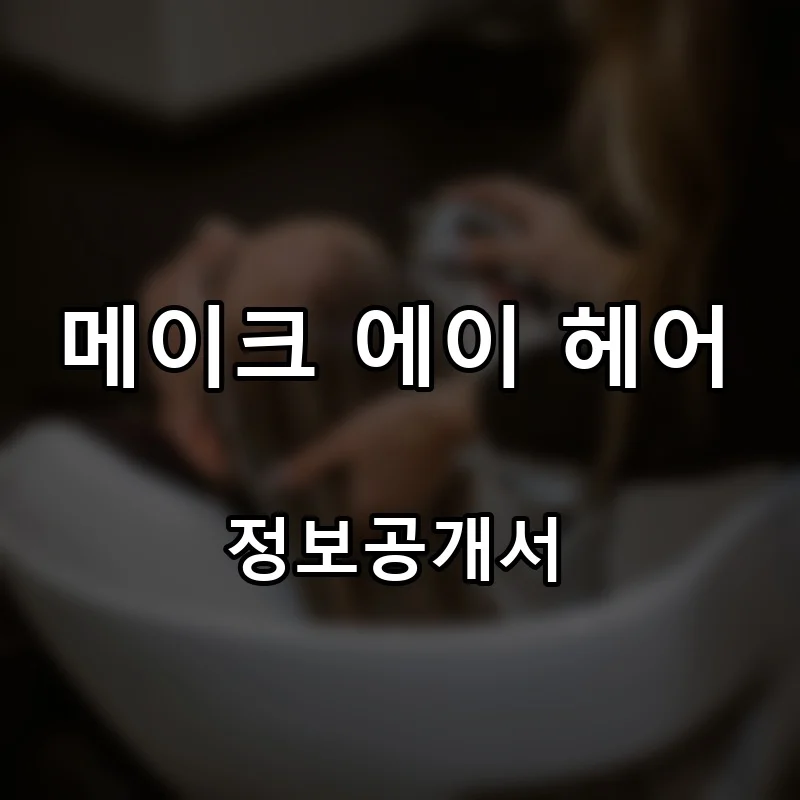 메이크 에이 헤어(make A HAIR) 프랜차이즈 창업 비용 정보공개서 요약