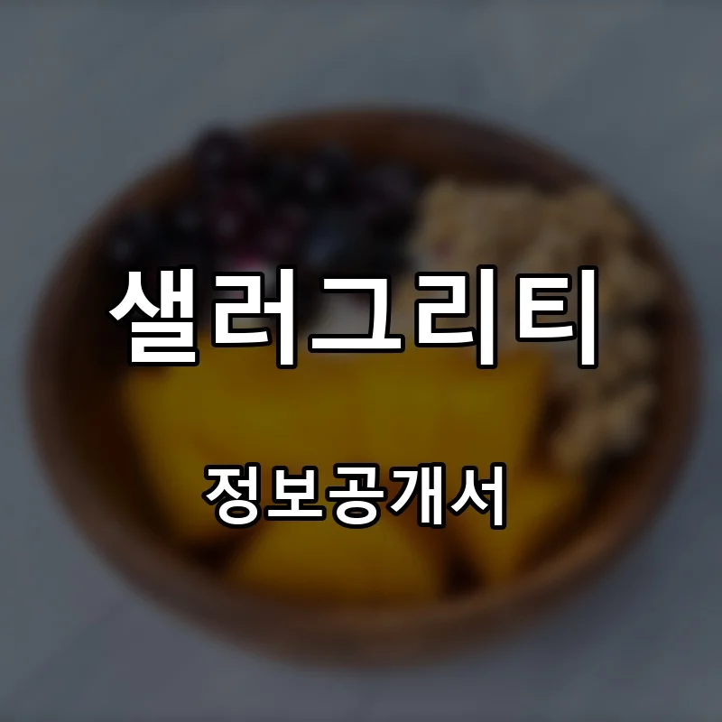 샐러그리티 프랜차이즈 창업 비용 정보공개서 요약