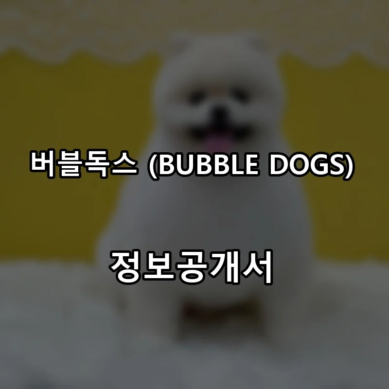 버블독스 (BUBBLE DOGS) 프랜차이즈 창업 비용 정보공개서 요약