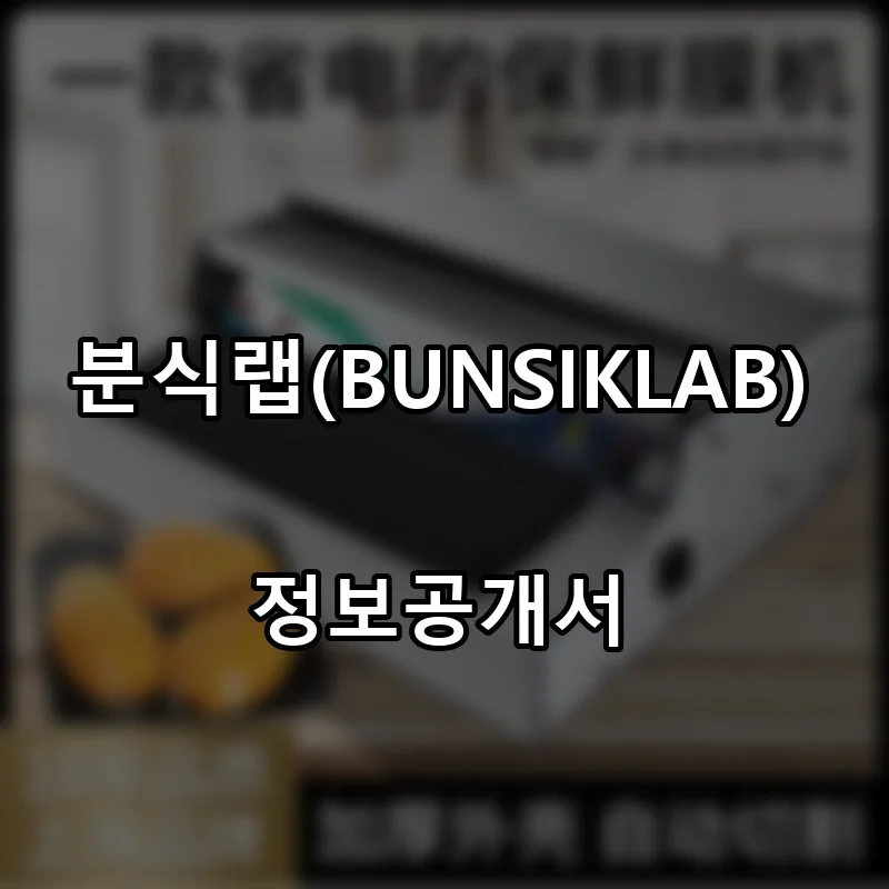 분식랩(BUNSIKLAB) 프랜차이즈 창업 비용 정보공개서 요약